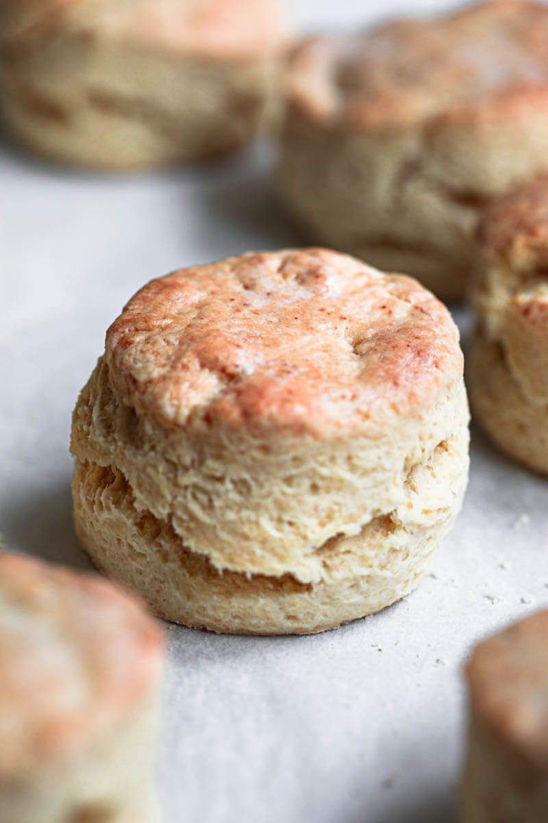 Closeup shot of one baked scone