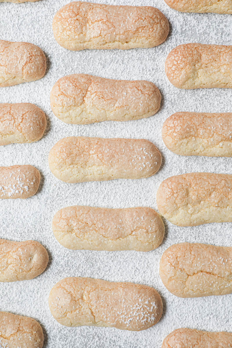 Closeup of the baked ladyfingers cookies on the baking tray.