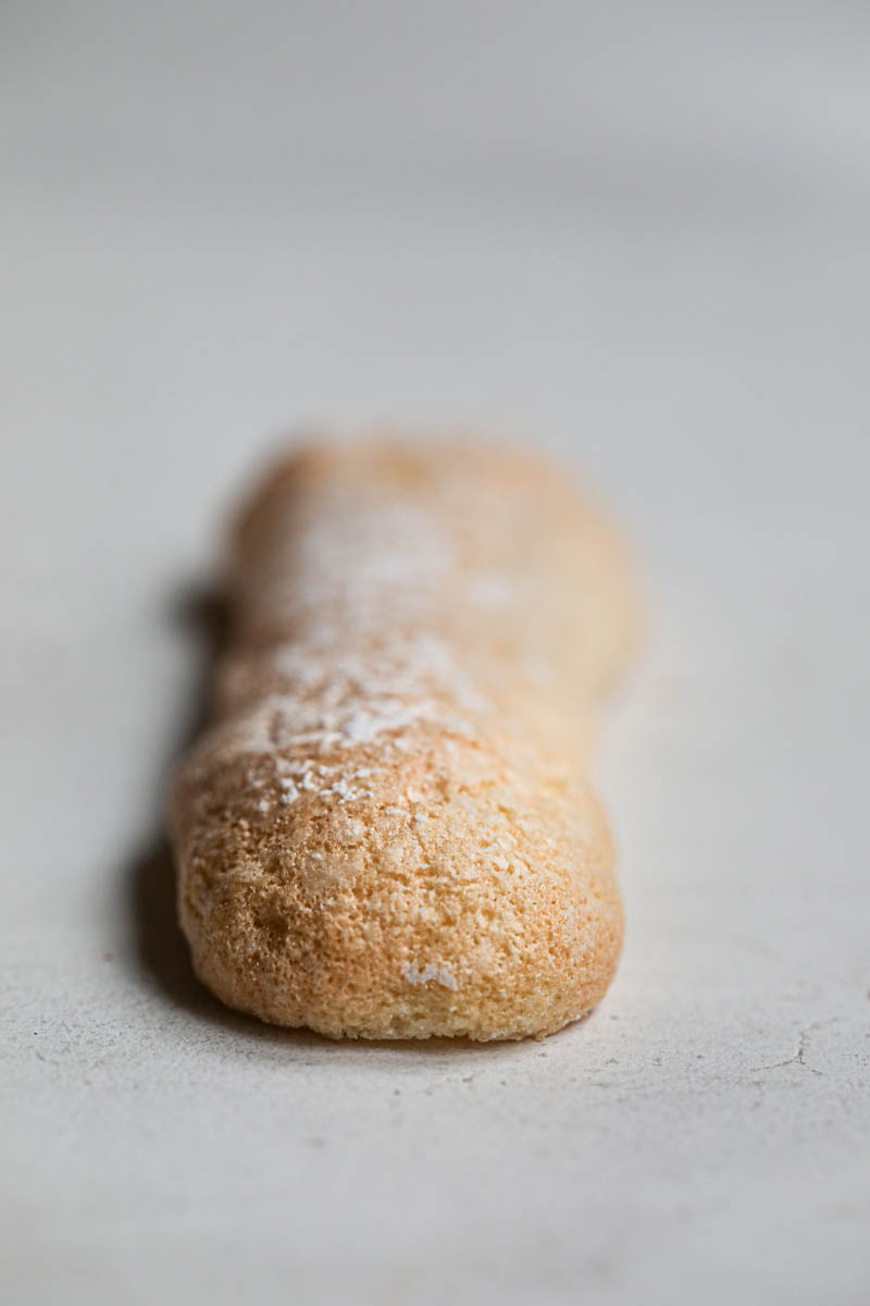 Closeup of one ladyfingers cookies as seen from the front.