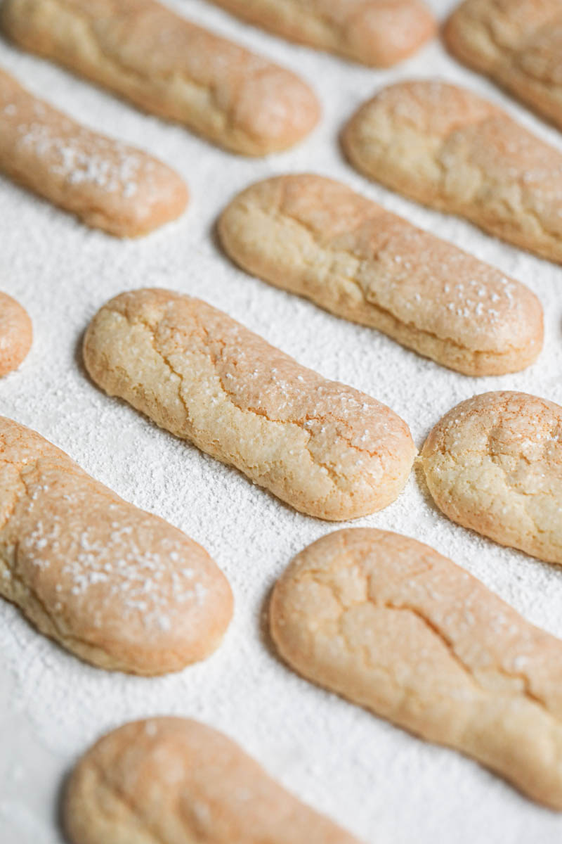 The homemade ladyfingers cookies baked on a baking tray lined with parchement paper.