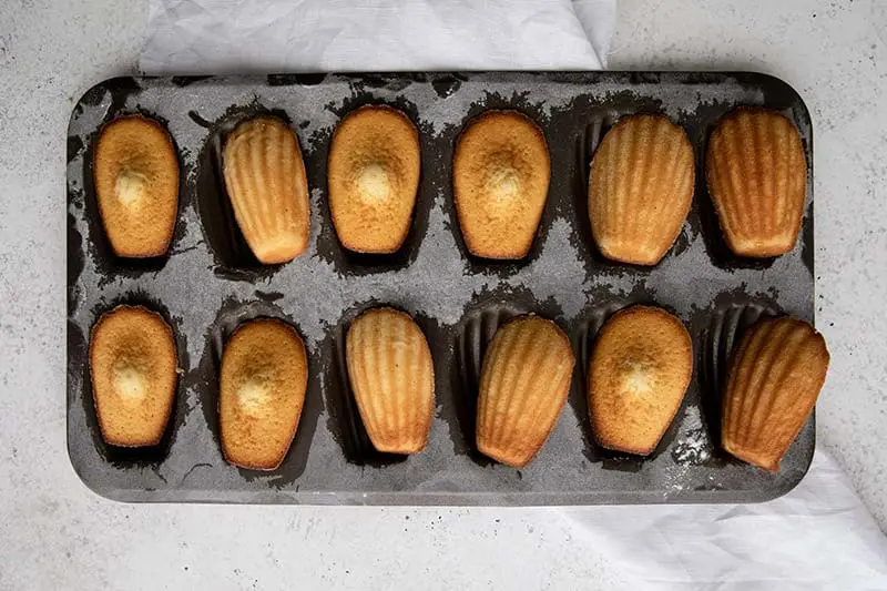 Overhead shot of baked madeleines in the madeleine tin