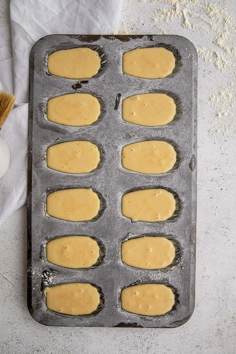 Madeleine batter pipped into the madeleine tin ready to be baked