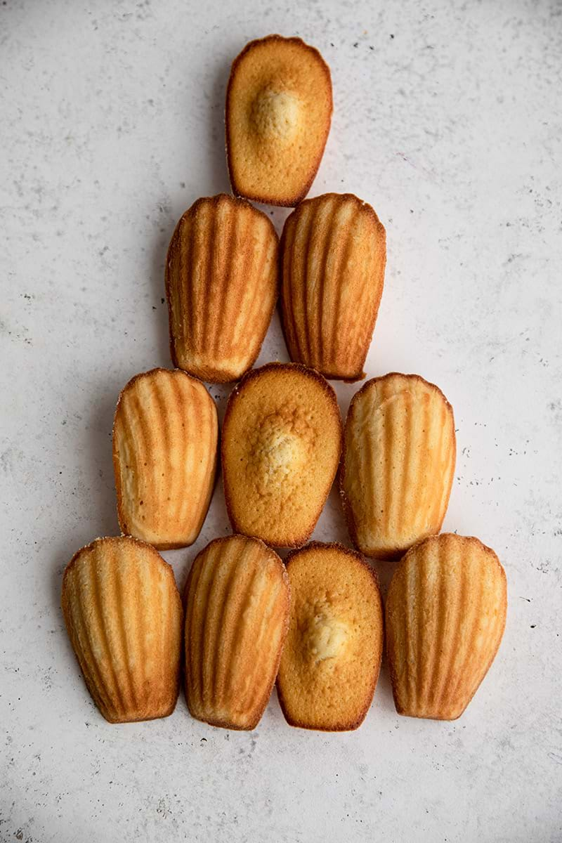 Overhead shot of baked madeleines