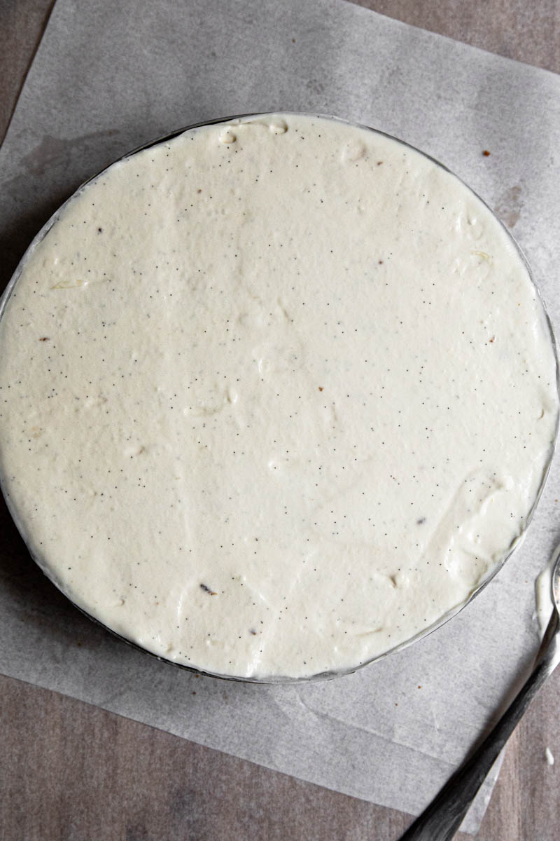 A macro close shot of the vanilla bean lemon no bake cheesecake filling ready.