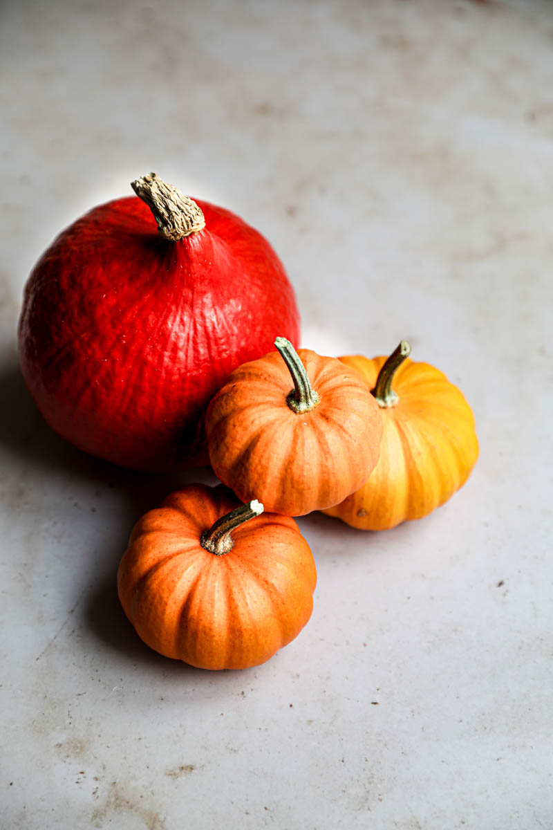 Portrait of 4 pumpkins.