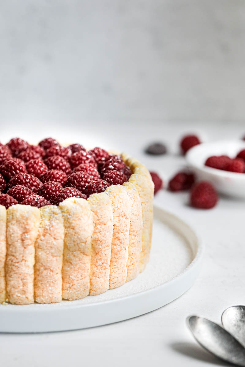 Half a raspberry chocolate charlotte cake seen from the side with some raspberries in the blurry background.