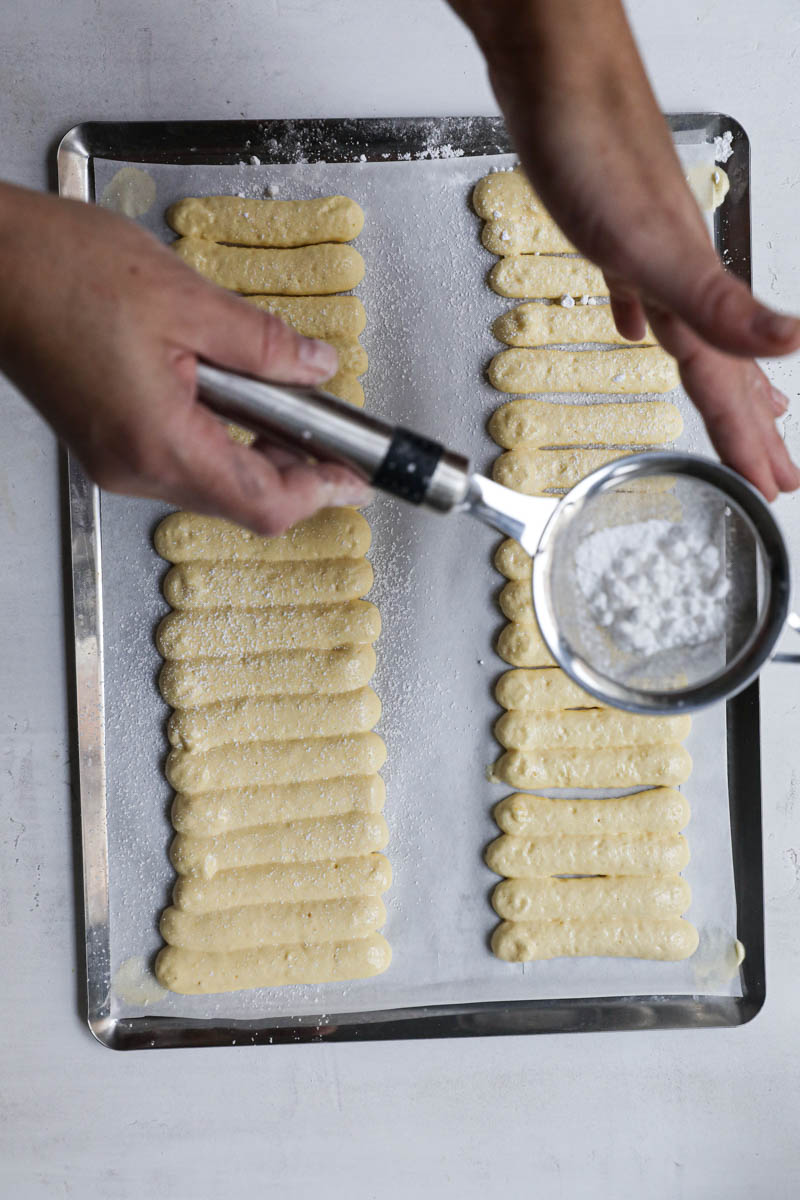 2 6 cm bands of ladyfinger batter piped out on a piece of parchment paper.