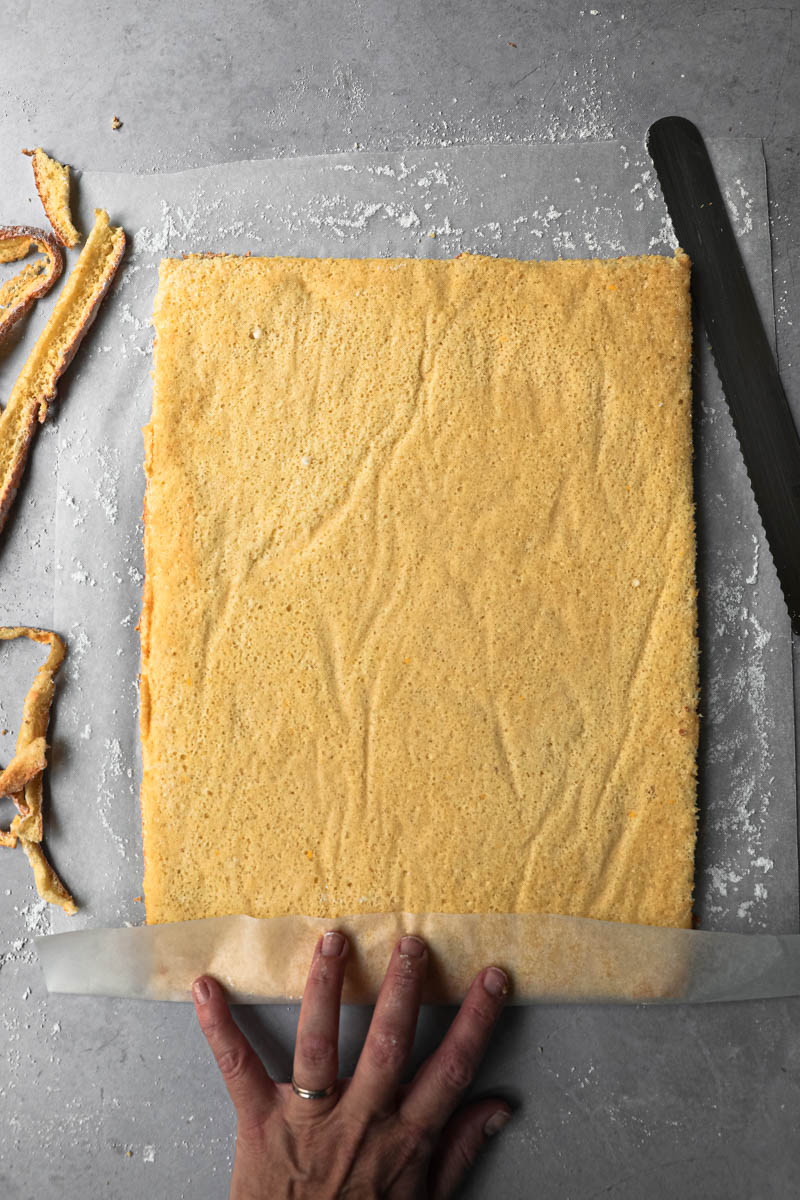 The roll cake turned on a paper covered in powdered sugar with the edges trimmed and one hand folding over 3 cm of paper onto the roll cake.